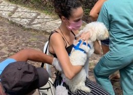 As ações do Programa Mais Saúde Animal já beneficiaram vários bairros de São Luís. (Foto: Divulgação)